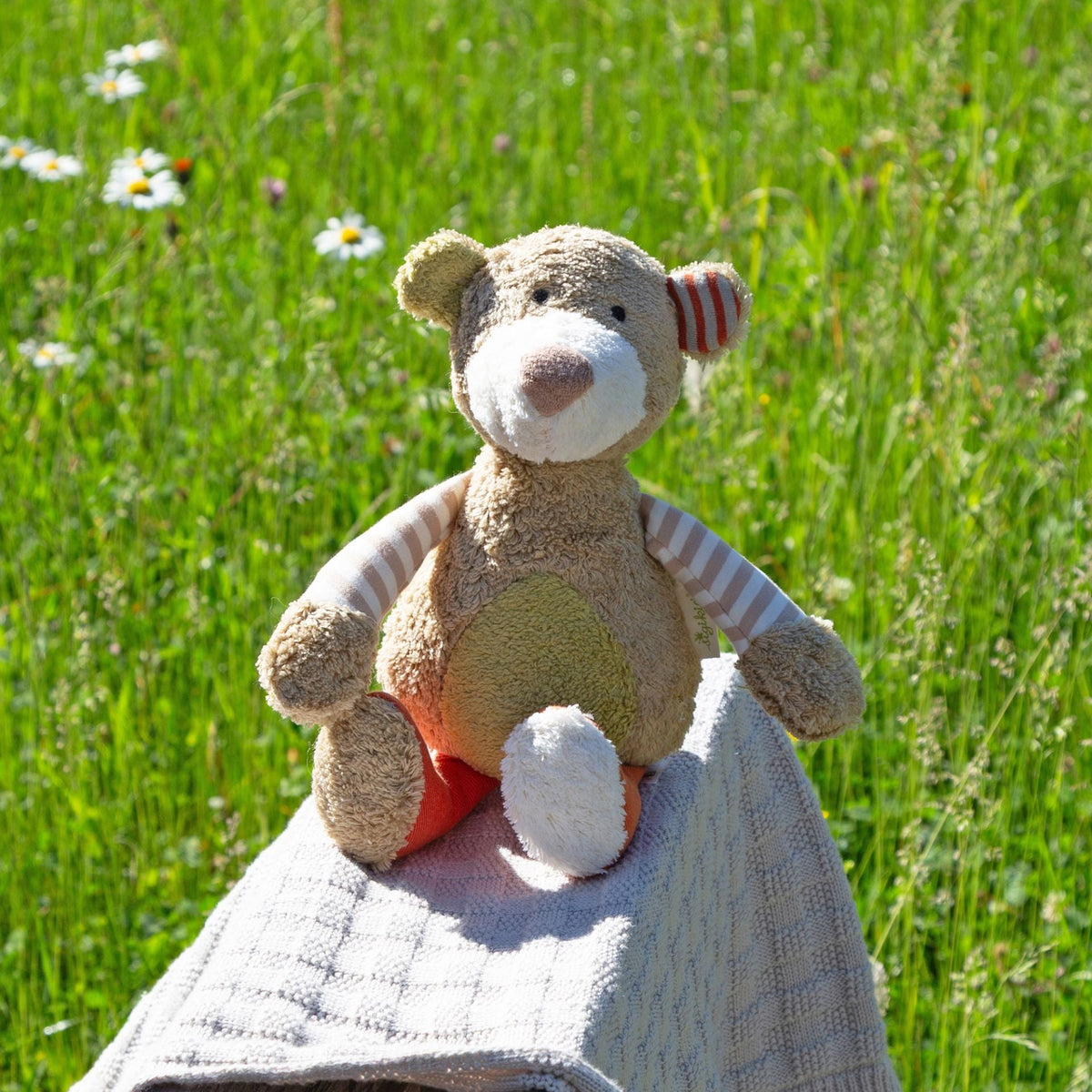 Organic Bear Plush Toy