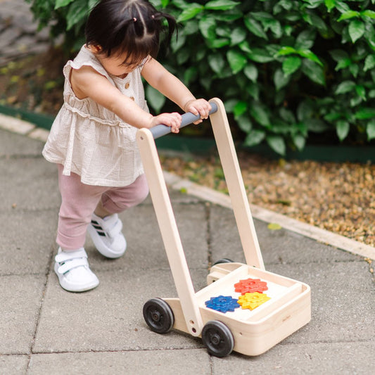 Gear & Go Walker