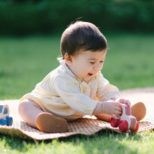 Timber Trail Cruiser