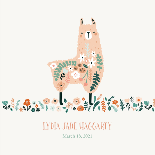 Baby's First Memory Book, Llama