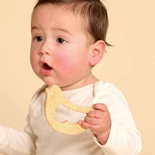 Solid Maple Wood Bird Rattle & Teether (Dots) – Natural Wooden Baby Toy | Made in the USA 🇺🇸