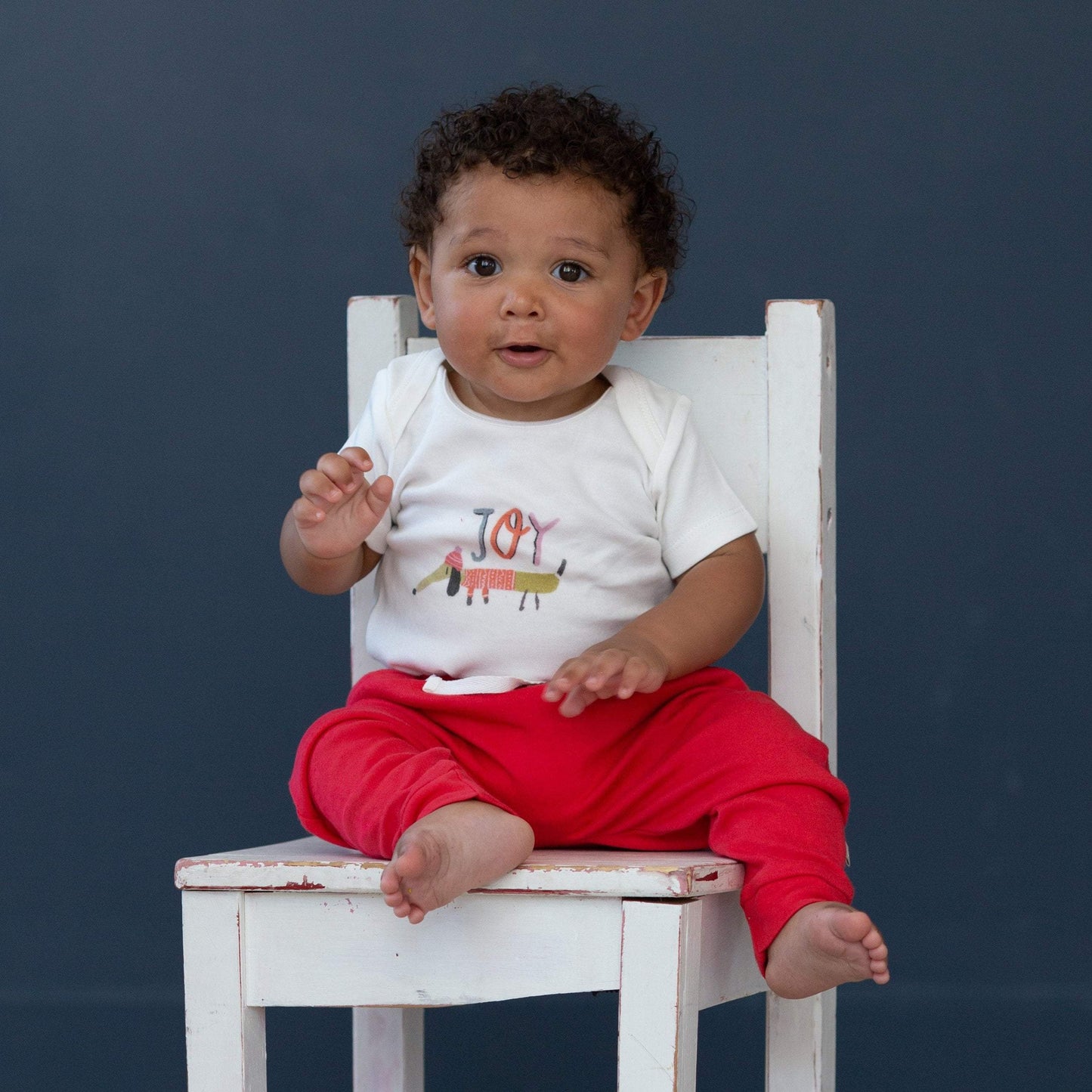 graphic bodysuit | joy dog