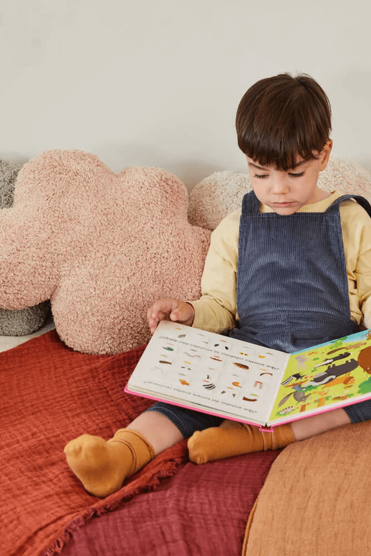 Clouds Pillow Cushion