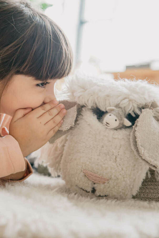 Pink Nose Sheep Woolable Basket