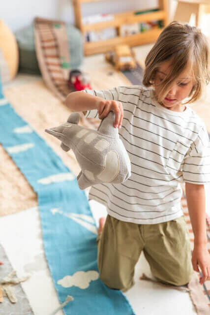 Ride & Roll, Airplane