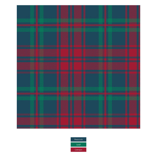 Print Bandana Bib in Peacock Plaid