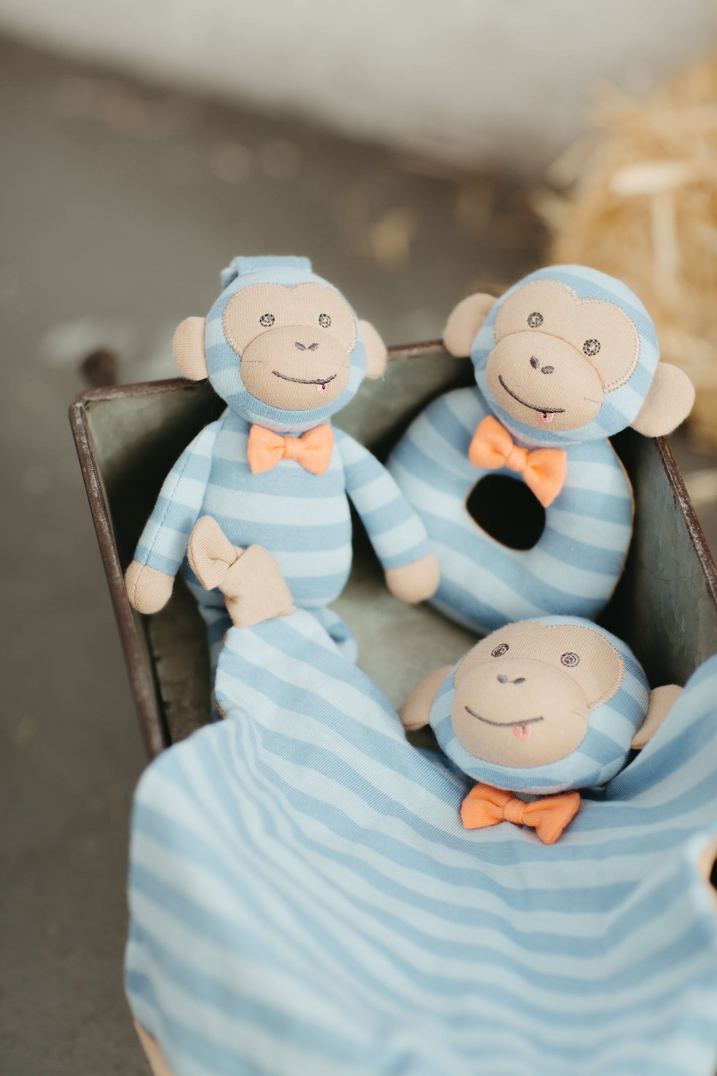 Marvin Monkey - Blankie