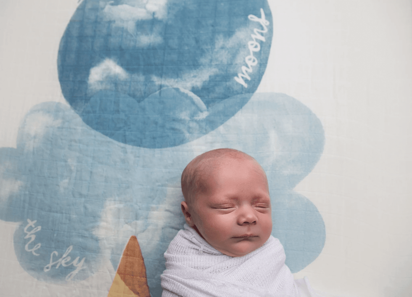 Move Mountains Organic Crib Sheet