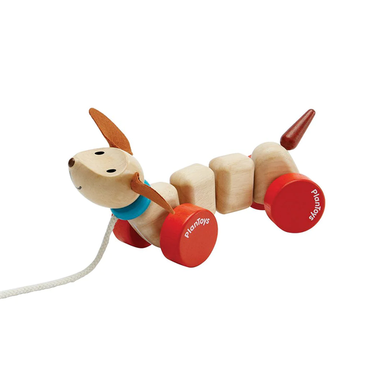 Plan Toys Happy Puppy Pull Toy