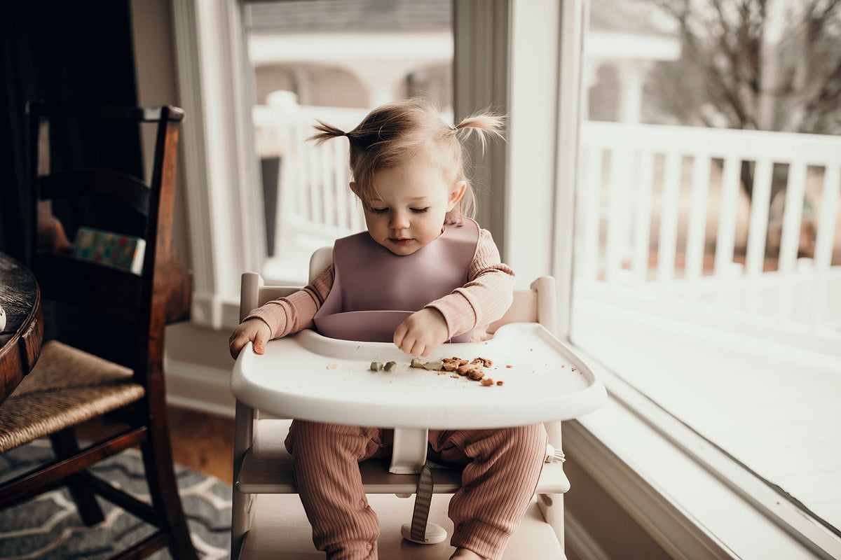 Lilac Silicone Bib with Crumb Catcher