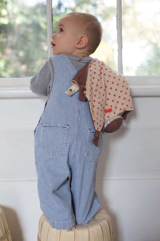 Boxer the Dog - Blankie