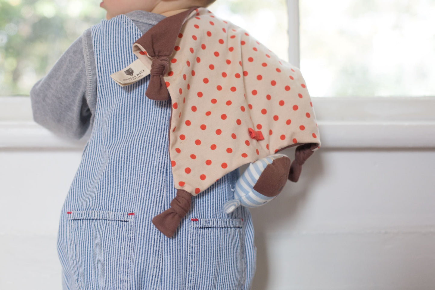 Boxer the Dog - Blankie