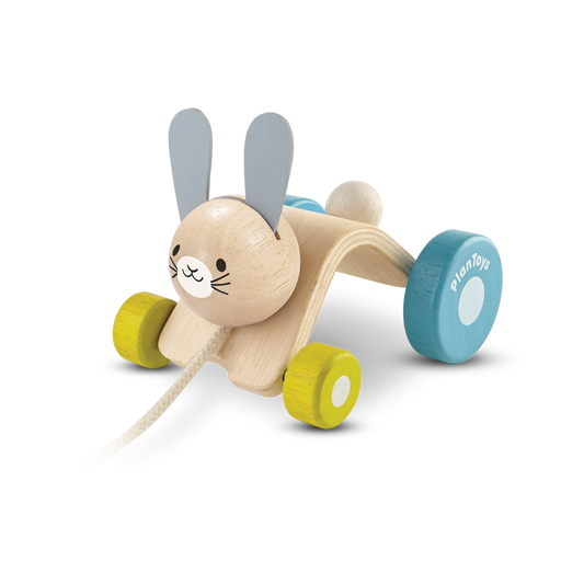 Plan Toys Hopping Rabbit