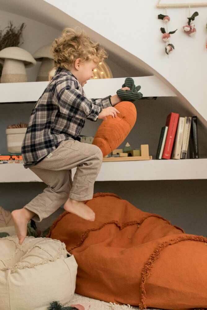 Cathy the Carrot Knitted Cushion