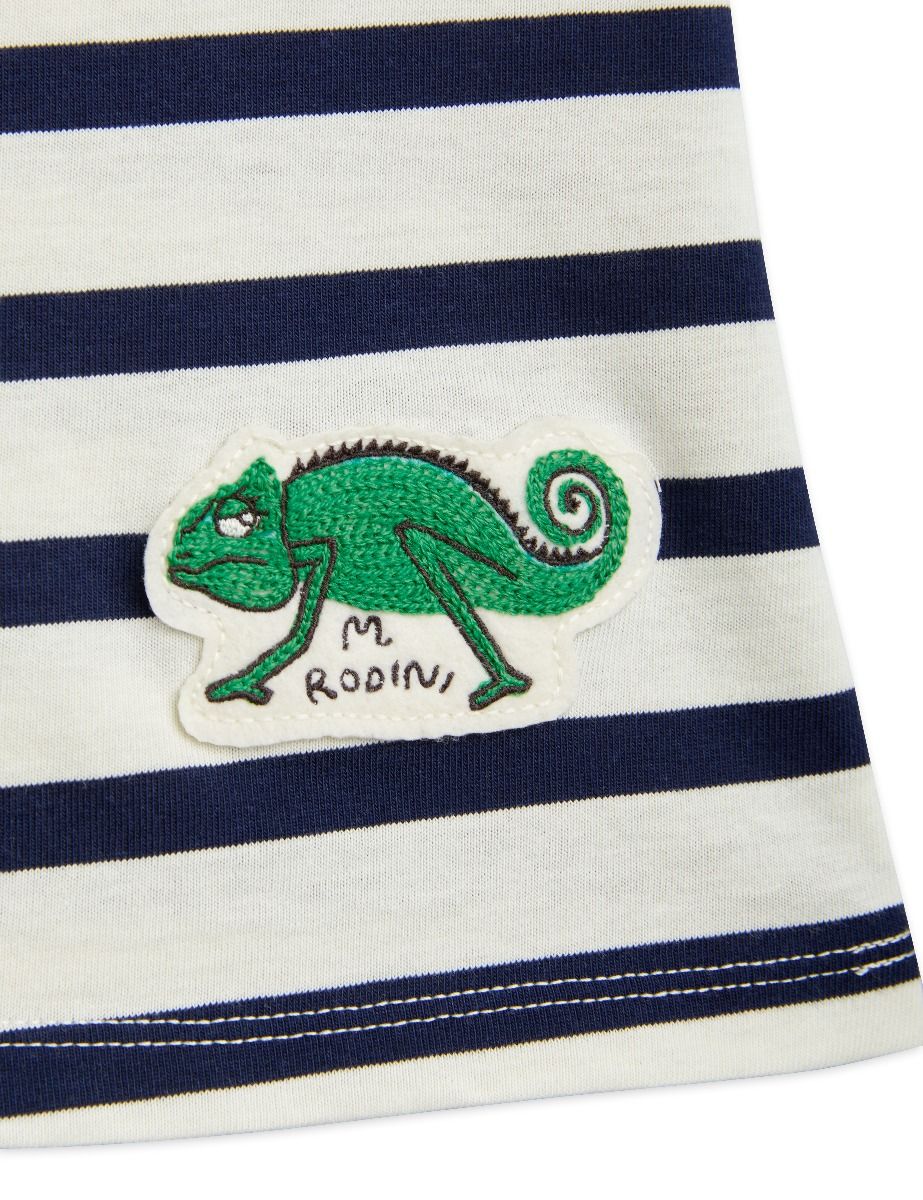 Chameleon Tank Dress