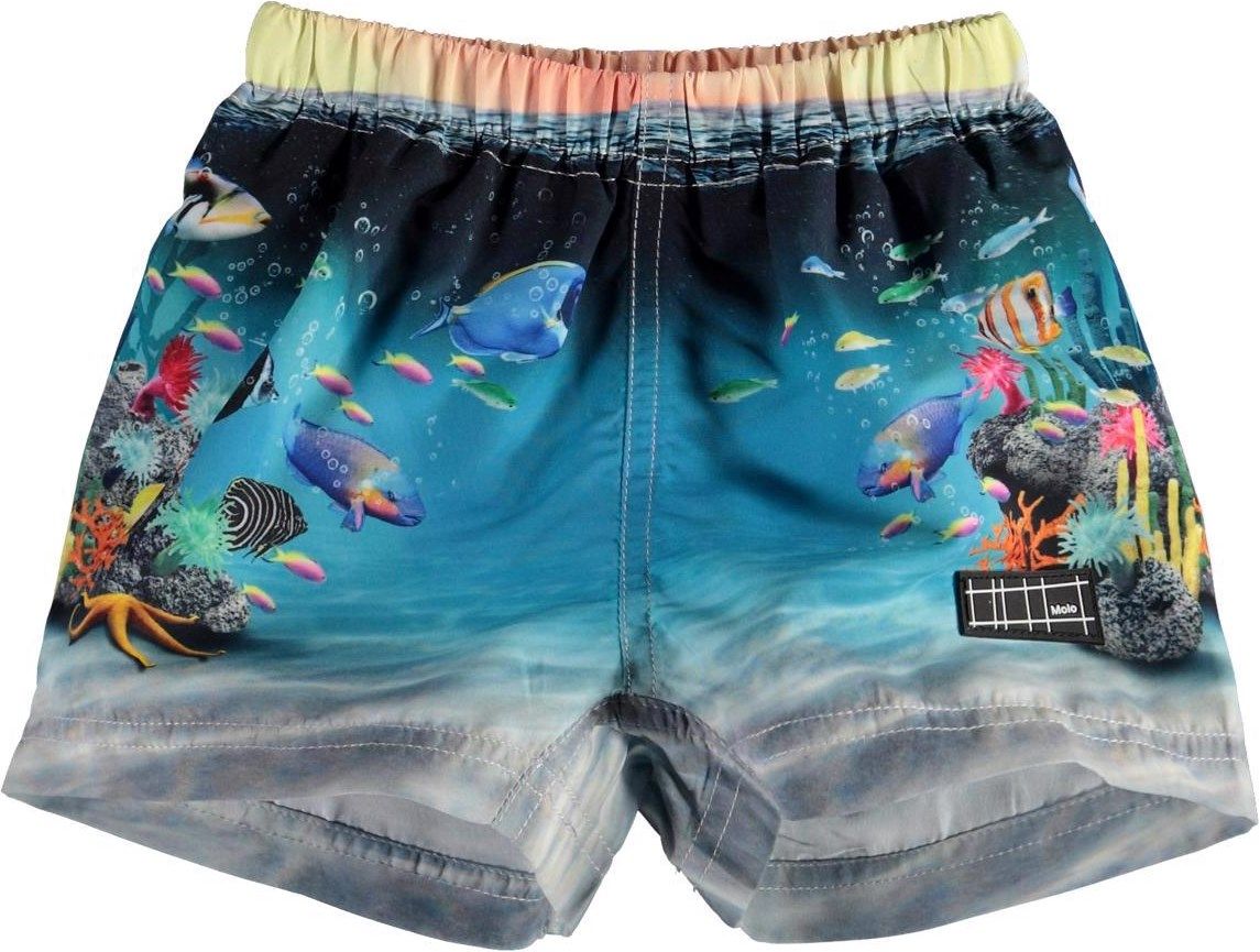 Newton Swim Trunks, Happy Baby Fish