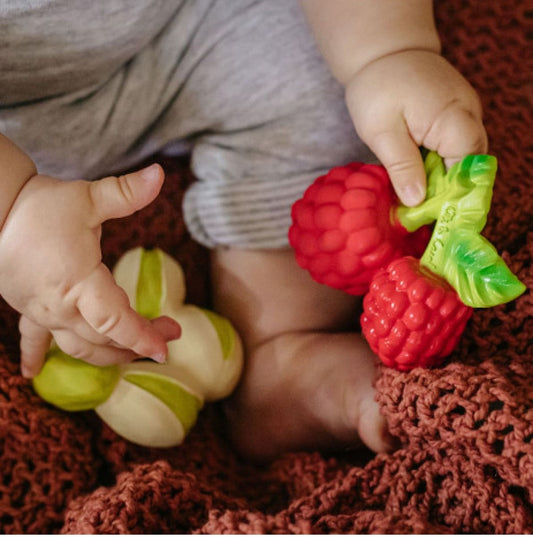 Patricio the Pistachio Teether