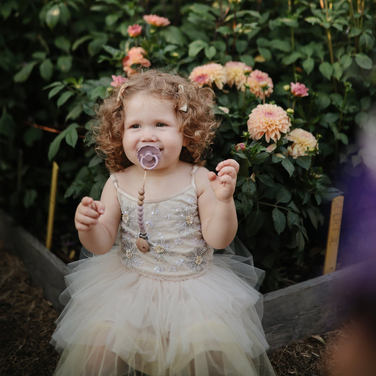 FRIGG Daisy Natural Rubber Pacifier 2-Pack