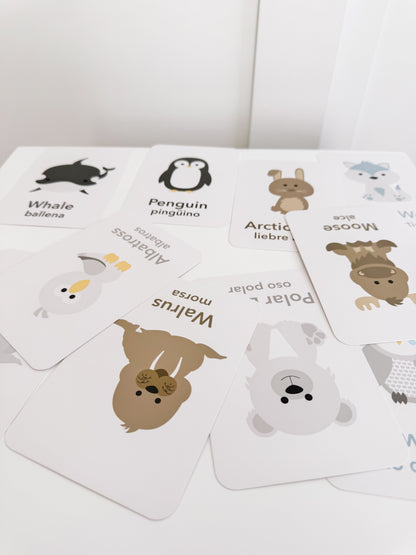 Arctic Animals Flashcards