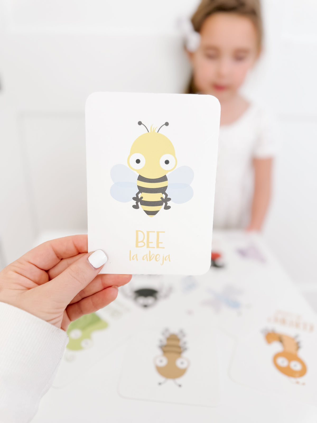 Bugs Flashcards