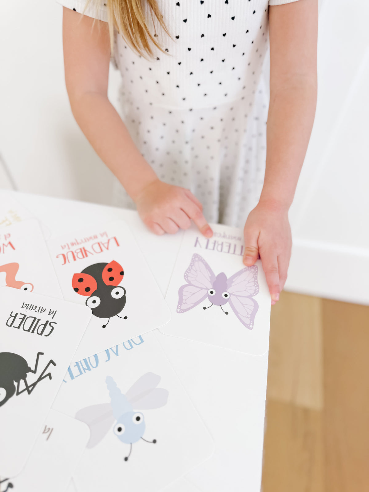 Bugs Flashcards