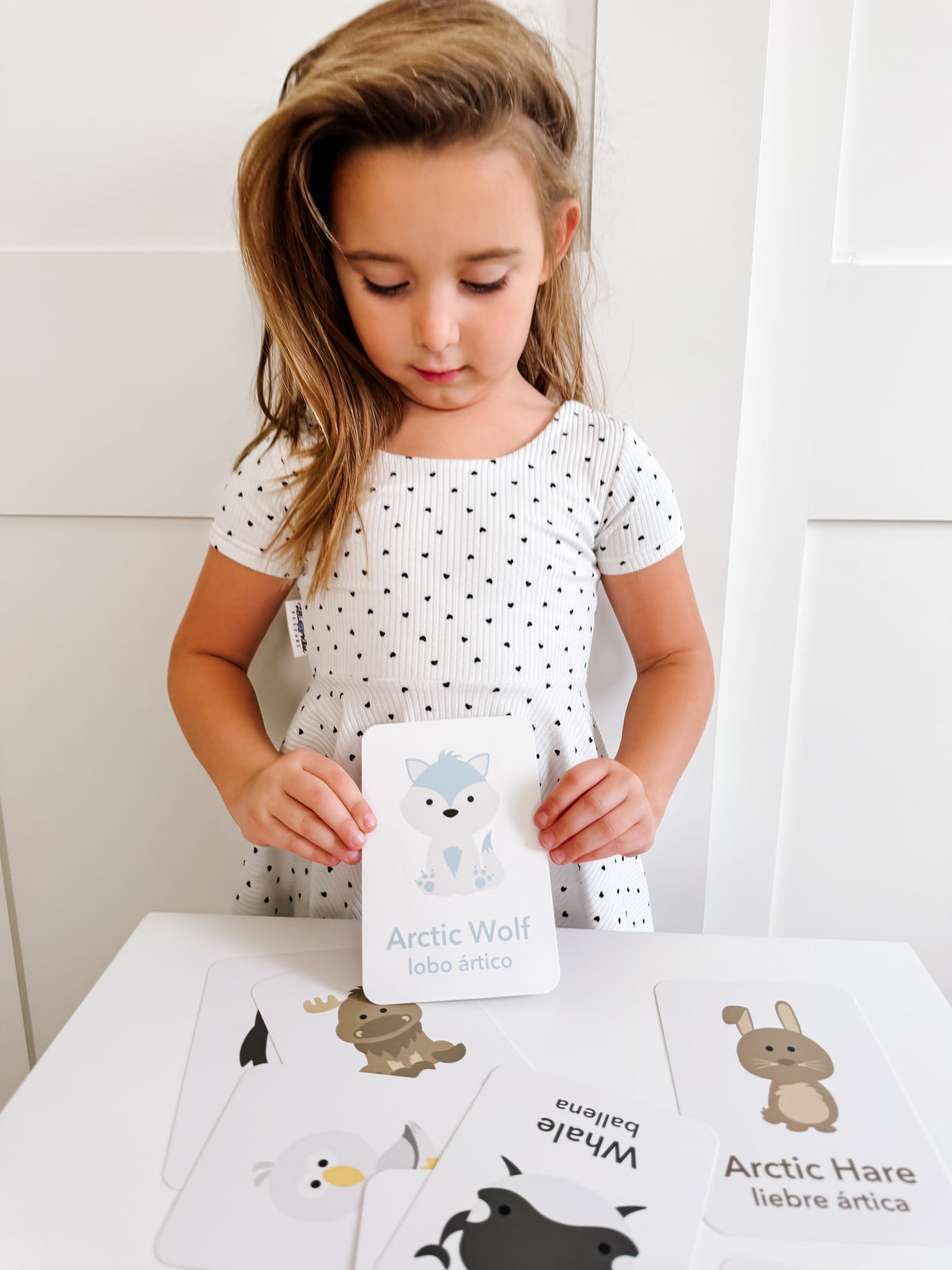 Arctic Animals Flashcards