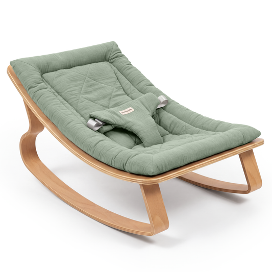 Baby Rocker for Ages 0-24 Months in Fern