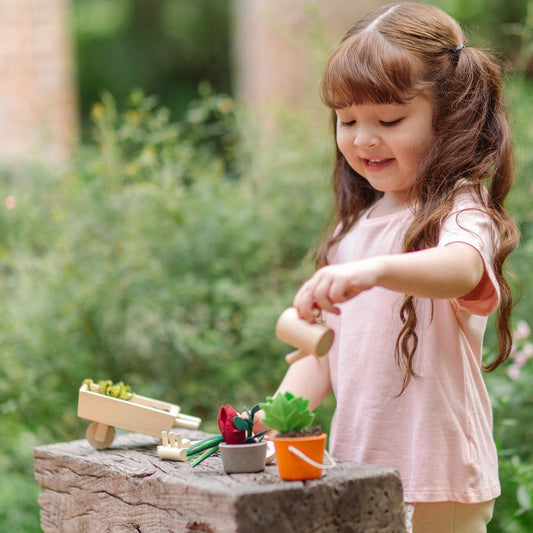Garden Wheelbarrow Set