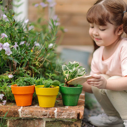 Plant Pots Trio
