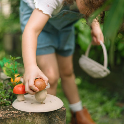 Play & Pick Mushrooms