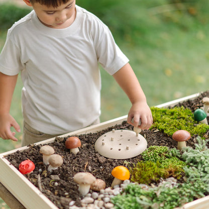 Play & Pick Mushrooms