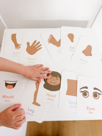 Body Parts Flashcards
