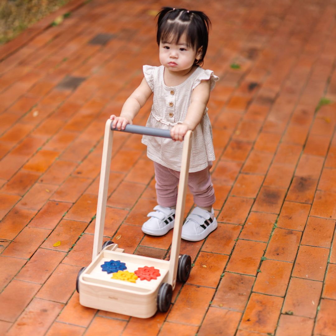 Gear & Go Walker