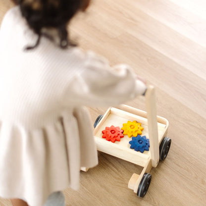Gear & Go Walker