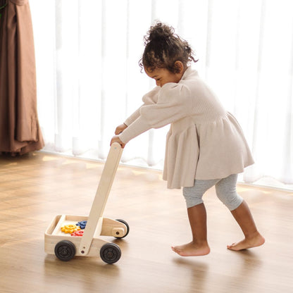 Gear & Go Walker