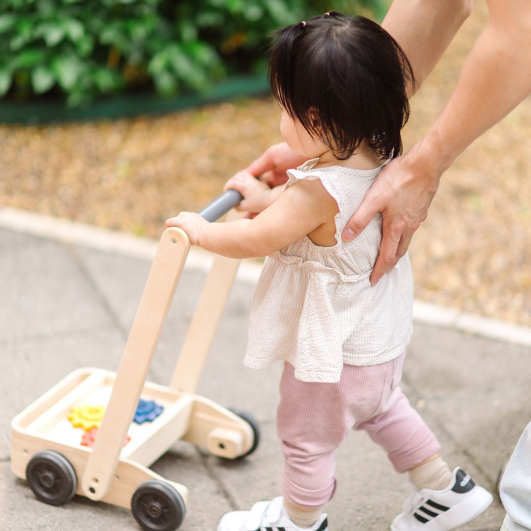 Gear & Go Walker