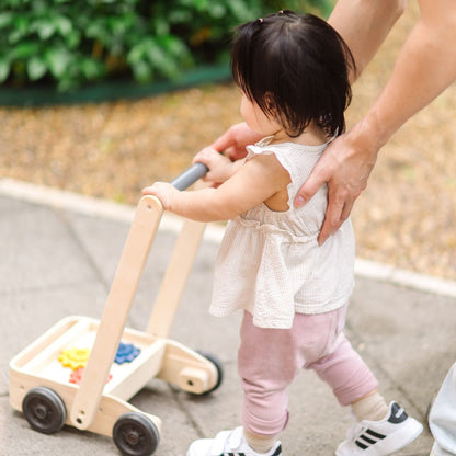 Gear & Go Walker