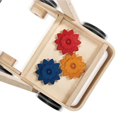 Gear & Go Walker