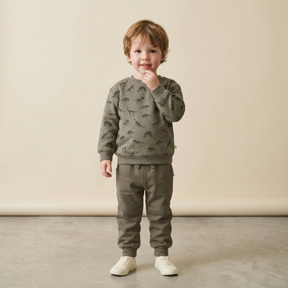 Organic Fleece Sweatshirt - Dino
