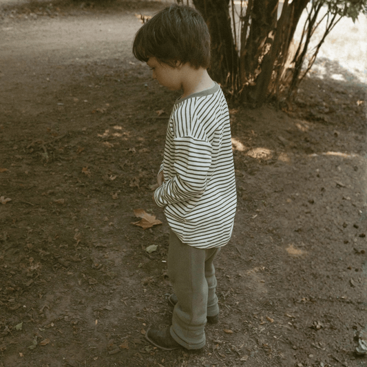 Organic Tee & Foldover Pants Set - Olive Stripes