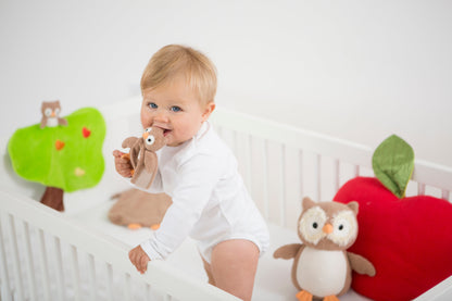 Soft Teething Rattle - Owl