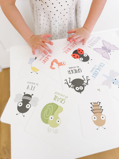 Bugs Flashcards