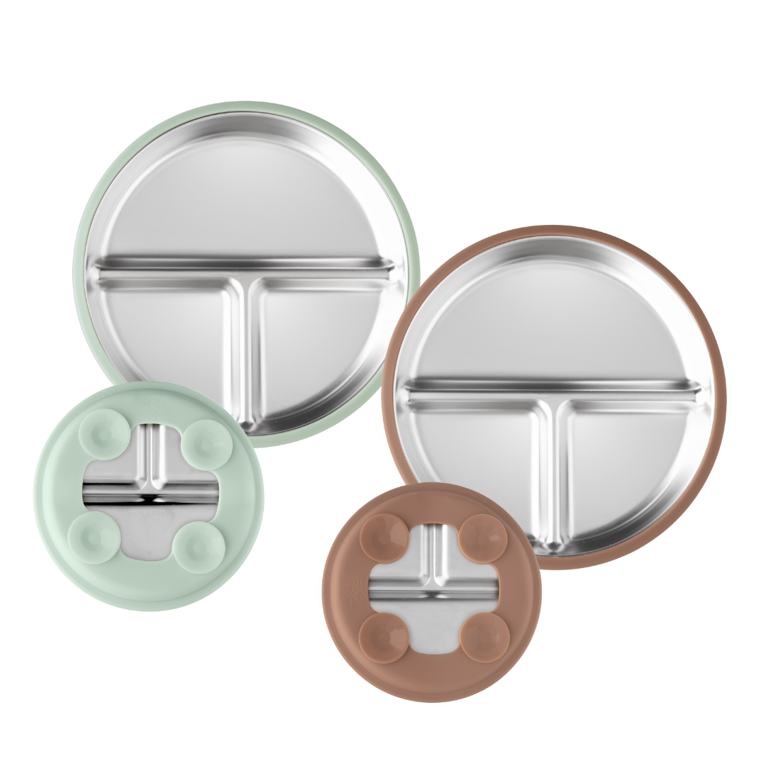 Stainless Steel Plate Set of 2 (Mocha Mousse & Sage Green)