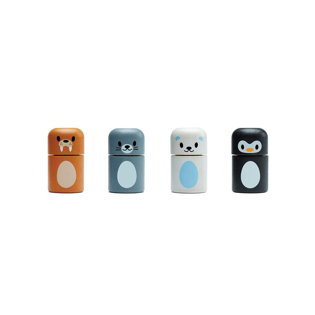 Arctic Animal Matching