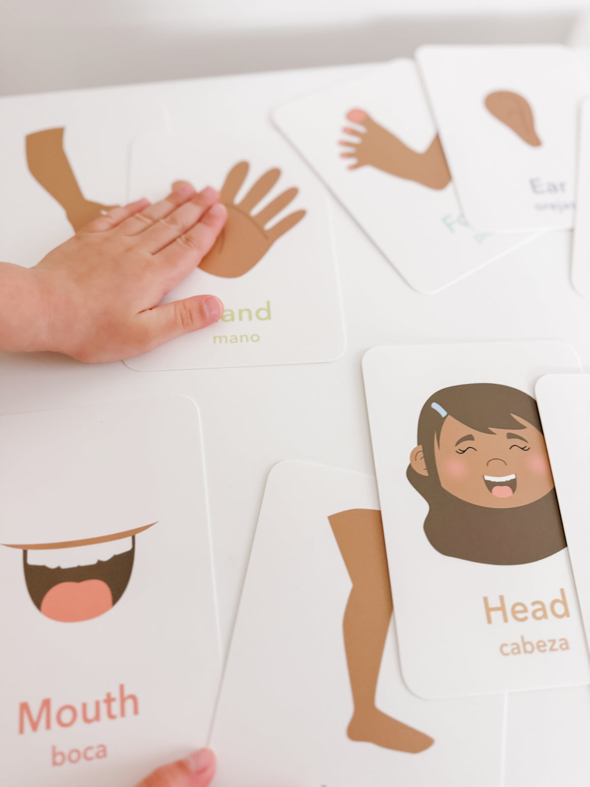Body Parts Flashcards
