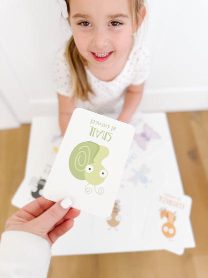 Bugs Flashcards