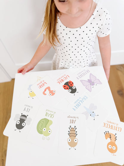 Bugs Flashcards
