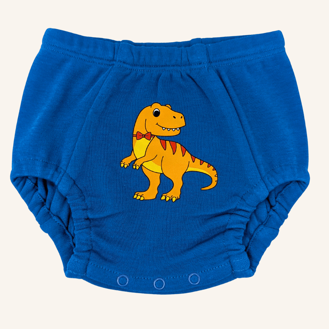 Day & Night Organic Training Underwear
