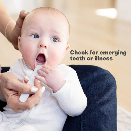 Sensory Tongue Depressor Set