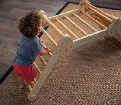 Vicus - Triangle Ladder with Ramp